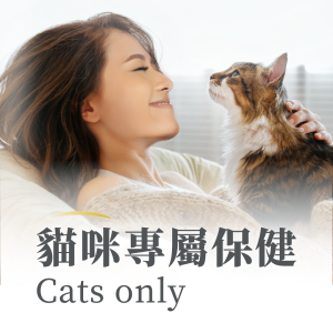 貓咪保健