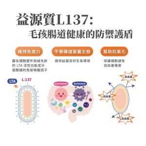 毛掌醫學 腸胃益生菌 腸胃敏感