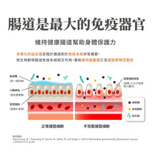 毛掌醫學 腸胃益生菌 腸胃敏感