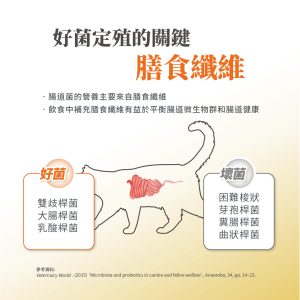 毛掌醫學 腸胃益生菌 腸胃敏感