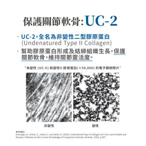 毛掌醫學 寵物關節保養 寵物骨關節 骨關節炎 寵物保健 貓關節