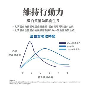 毛掌醫學 寵物關節保養 寵物骨關節 骨關節炎 寵物保健 貓關節