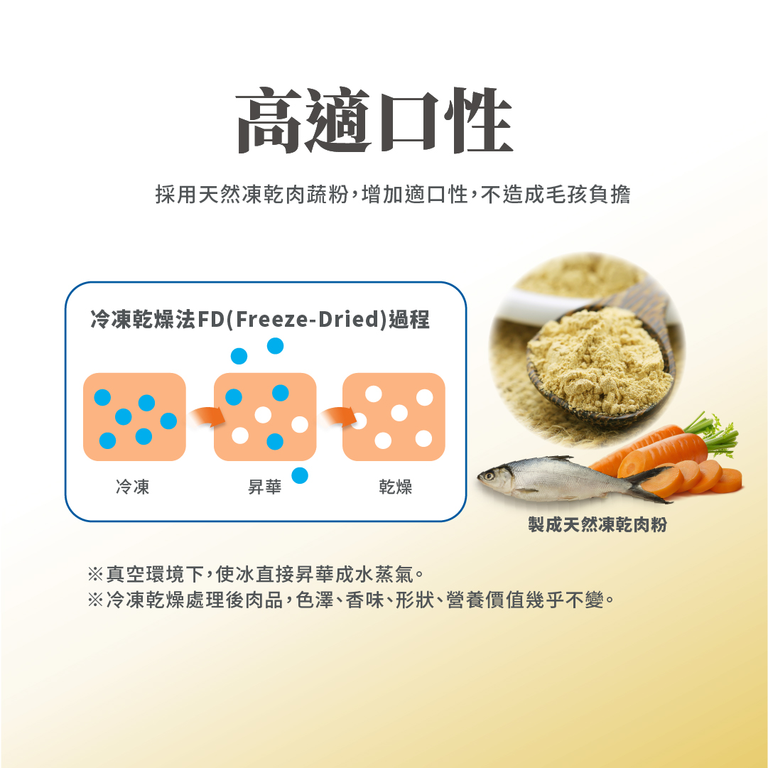 毛掌醫學 寵物關節保養 寵物骨關節 骨關節炎 寵物保健 貓關節