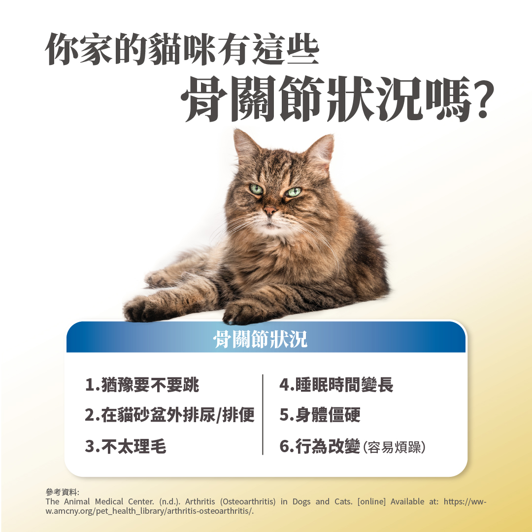 毛掌醫學 寵物關節保養 寵物骨關節 骨關節炎 寵物保健 貓關節