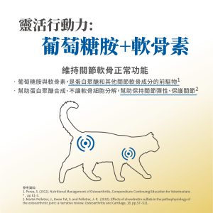 毛掌醫學 寵物關節保養 寵物骨關節 骨關節炎 寵物保健 貓關節