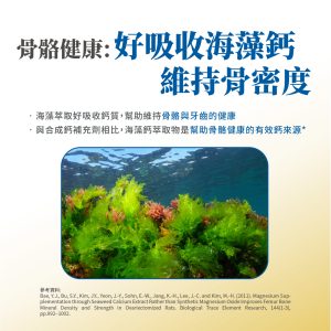 毛掌醫學 寵物關節保養 寵物骨關節 骨關節炎 寵物保健 貓關節