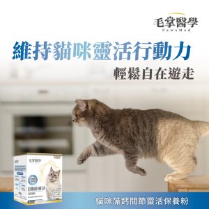 毛掌醫學 寵物關節保養 寵物骨關節 骨關節炎 寵物保健 貓關節