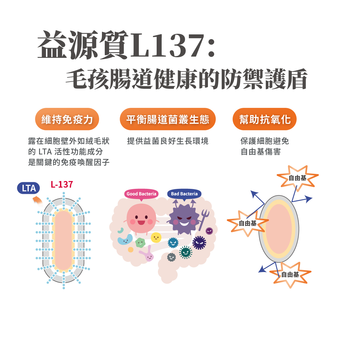 毛掌醫學 腸胃益生菌 腸胃敏感 益原質 益源質L137