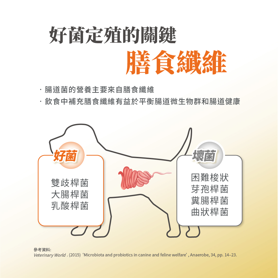 毛掌醫學 腸胃益生菌 腸胃敏感