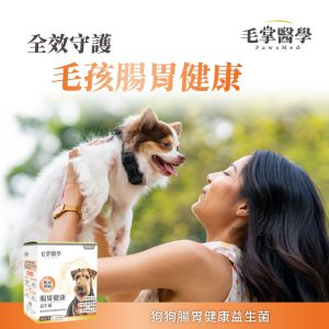 毛掌醫學 腸胃益生菌 腸胃敏感 全效守護毛孩腸胃健康