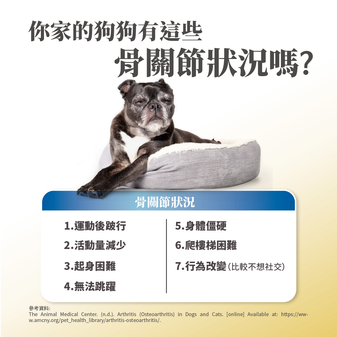 毛掌醫學 寵物關節保養 寵物骨關節 骨關節炎 寵物保健 狗狗關節