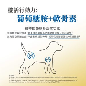 毛掌醫學 寵物關節保養 寵物骨關節 骨關節炎 寵物保健 狗狗關節