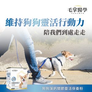 毛掌醫學 寵物關節保養 寵物骨關節 骨關節炎 寵物保健 狗狗關節